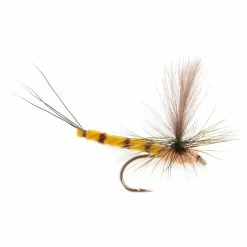 Guideline GL Vulgata Dun #10