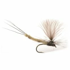 Guideline GL Danica Dun #10