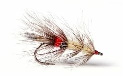 Guideline Vaskebjørn