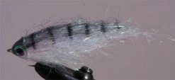 Fly-Dressing Magic Minnow Peacock #4