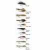 Wiggler Goldheads 10-pack